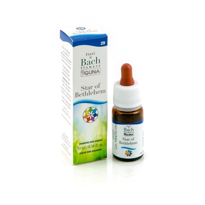 STAR OF BETH GUN GTT 10ML