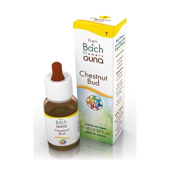 CHESTNUT BUD GTT 10ML