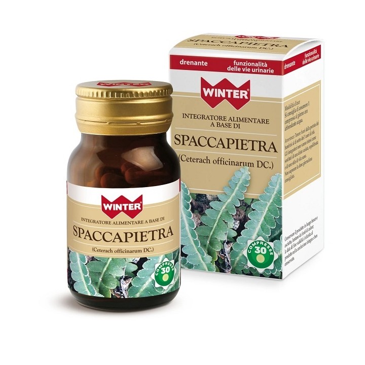 WINTER SPACCAPIETRA 30CPR