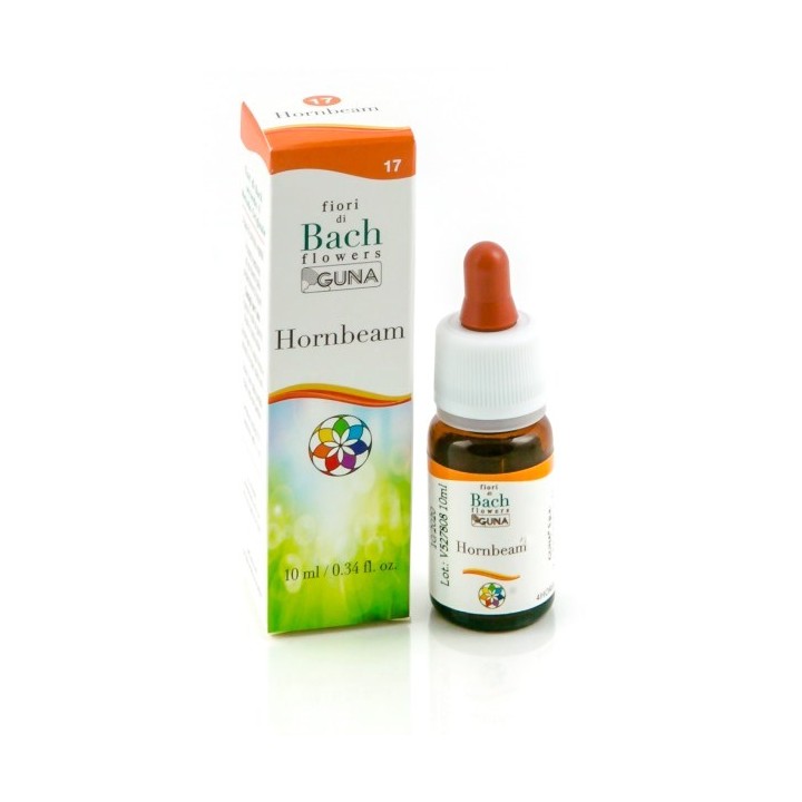 HORNBEAM GUN GTT 10ML