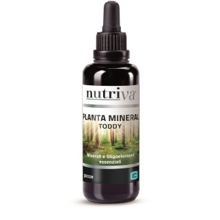 NUTRIVA PLANTA MINERAL TODDY