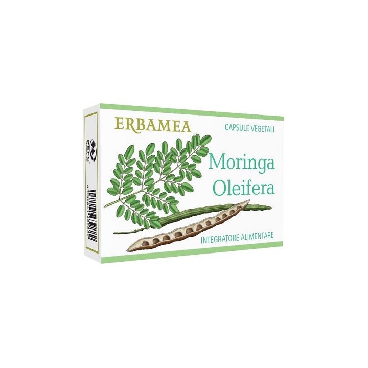 MORINGA OLEIFERA 24CPS
