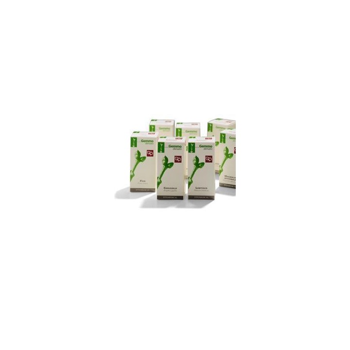 FICO RADICHETTE MG 50ML