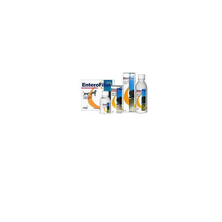ENTEROFILUS 12X10ML