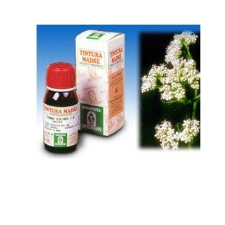 VALERIANA 36 TM 50ML
