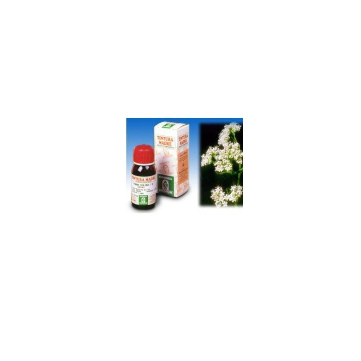 VALERIANA 36 TM 50ML