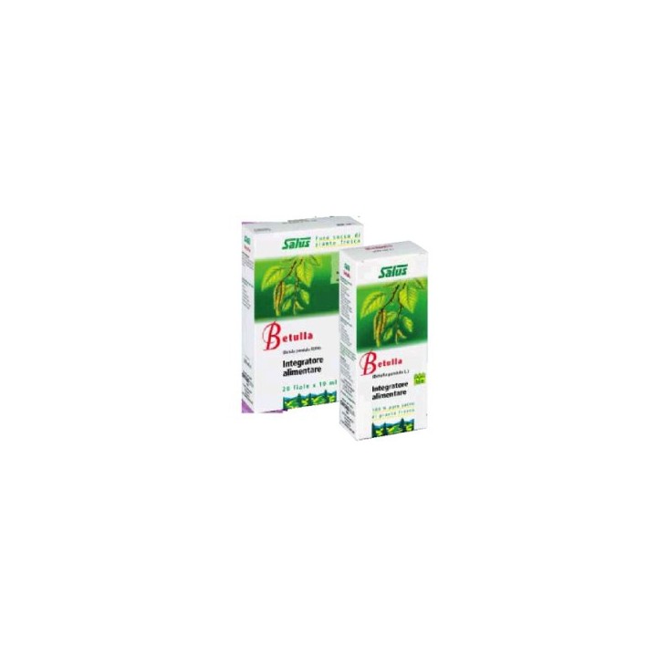BETULLA SUCCO 200ML BIO