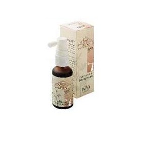 CORO ERISIMO SPRAY 20ML