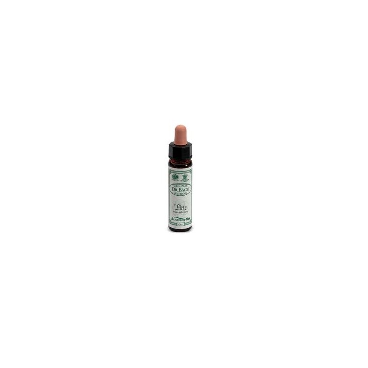 AINSWORTHS PINE 10ML