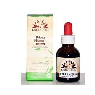 FITOBLASTO RIBES NIGRUM 50ML