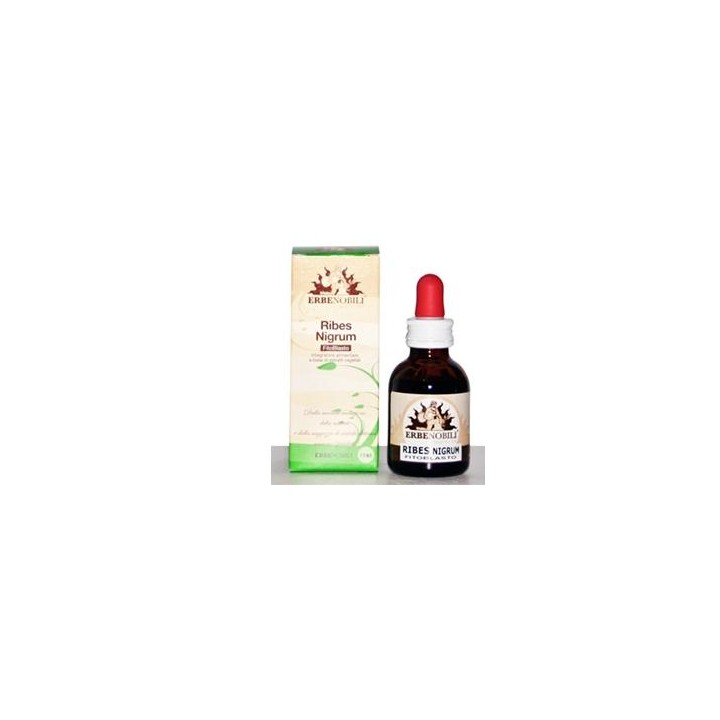 FITOBLASTO RIBES NIGRUM 50ML