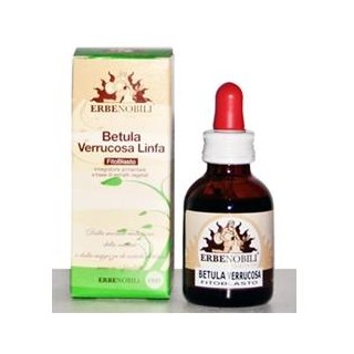 FITOBLASTO BETULLA VERR LIN 50