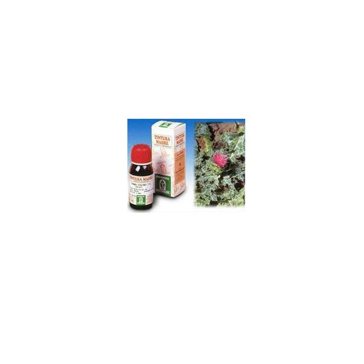 CARDO MARIANO 6 50ML TM