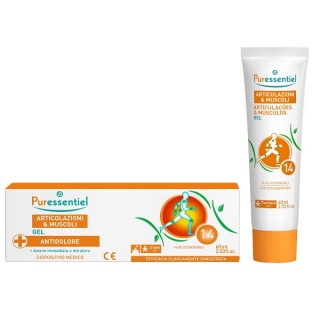 PURES GEL ART DM 60ML