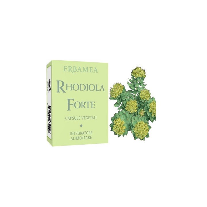 RHODIOLA FORTE 24CPS