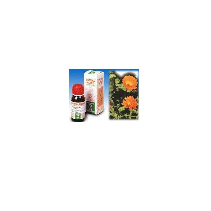 CALENDULA OFF 5 50ML TM