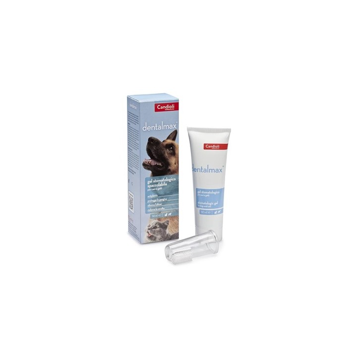 DENTALMAX GEL STOMATOLOGICO 50
