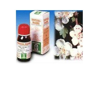 BIANCOSPINO 10 50ML TM