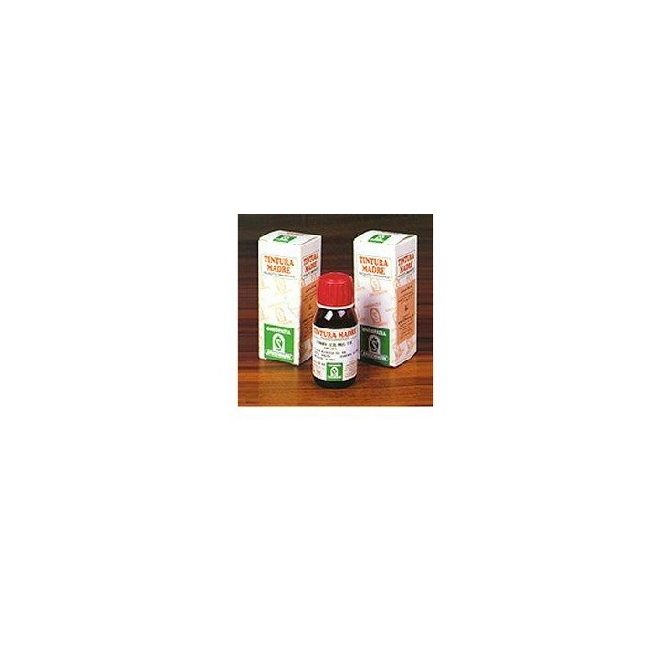 ARTIGLIO DEL DIAVOLO 35 TM50ML