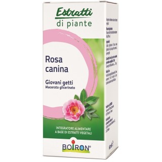 ROSA CANINA BOIRON MG 60ML