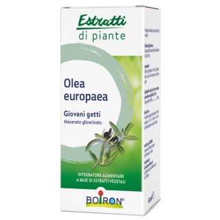OLEA EUROPAEA BOIRON MG 60ML