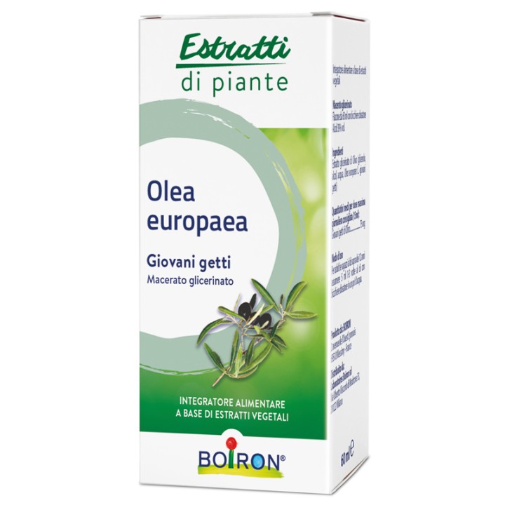 OLEA EUROPAEA BOIRON MG 60ML