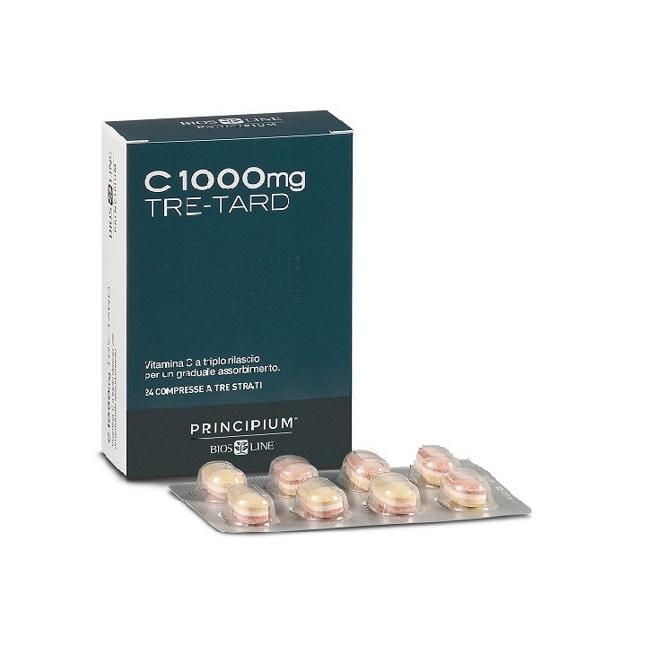 PRINCIPIUM C1000 TRETARD 24CPR