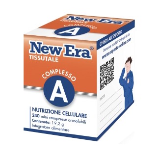 NEW ERA A 240GR