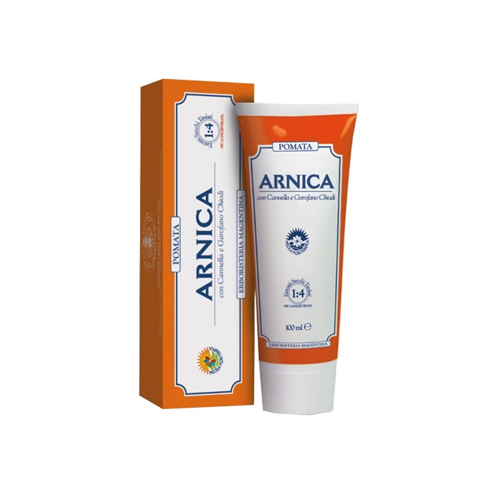 ARNICA FORTE POMATA 100ML