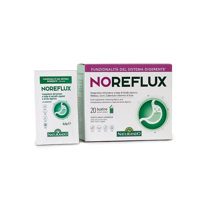 NOREFLUX 20BUST
