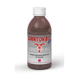 CARNITON B12 PET 80CPR