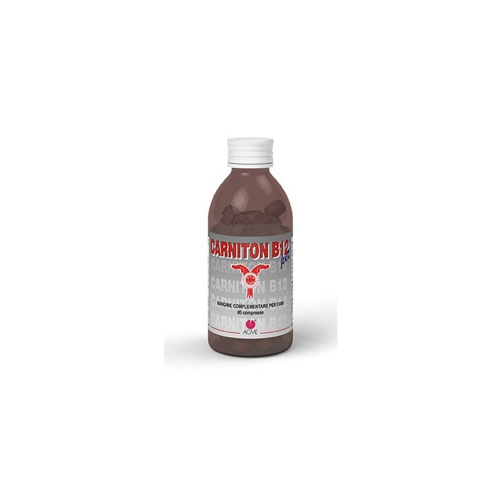 CARNITON B12 PET 80CPR