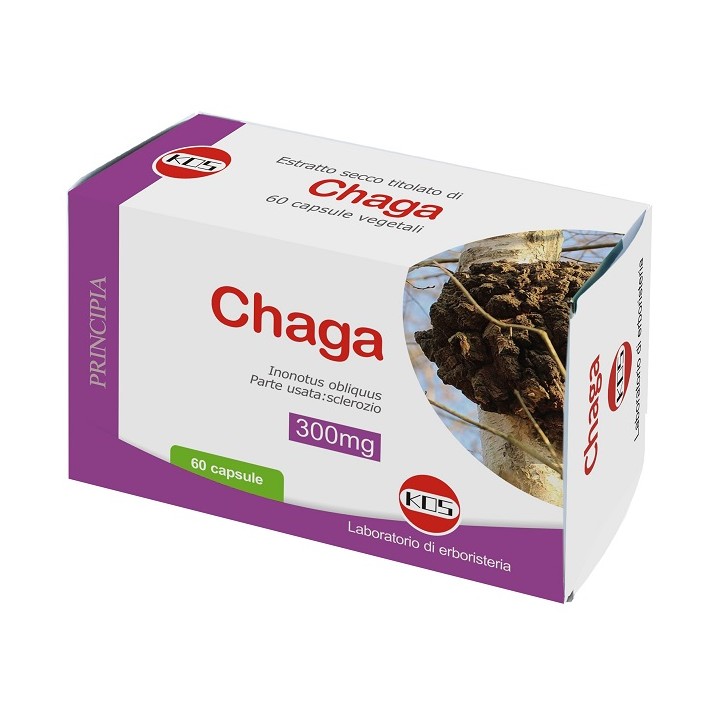 CHAGA ESTRATTO SECCO TIT 60CPS