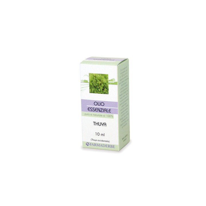 THUYA OLIO ESSENZIALE 10ML