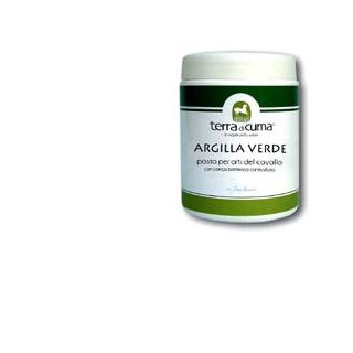 ARGILLA VERDE EQUINI PASTA 1KG