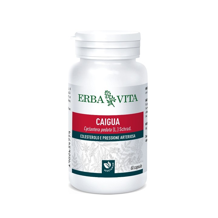 CAIGUA 60CPS 400MG