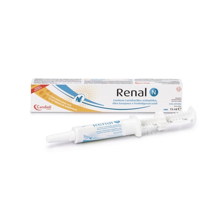 RENAL N PASTA 15ML
