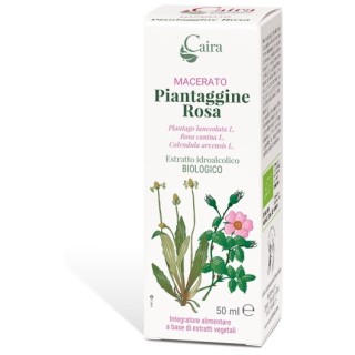 PIANTAGGINE RA MACERATO CAIRA