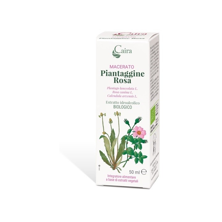 PIANTAGGINE RA MACERATO CAIRA