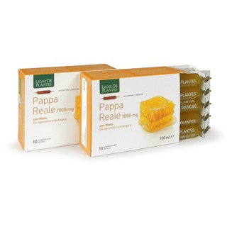 PAPPA REALE 1000MG BIO 10AMPOL