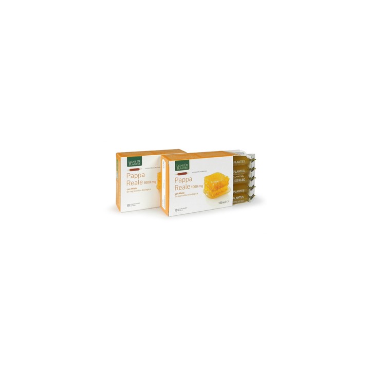 PAPPA REALE 1000MG BIO 10AMPOL