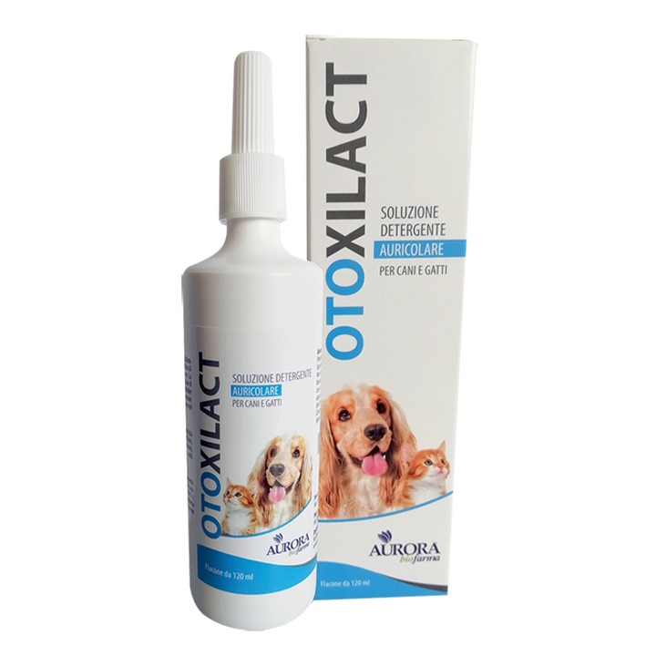 OTOXILACT DETERGENTE AURICOLA