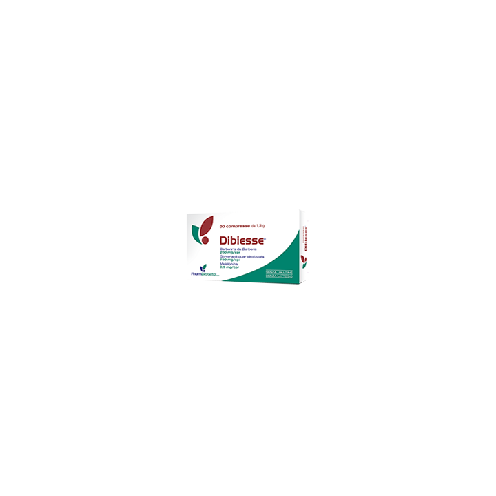 DIBIESSE 30CPR