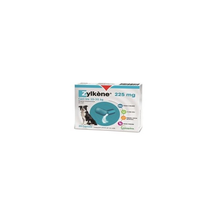 ZYLKENE CANI 10-30KG 20CPS