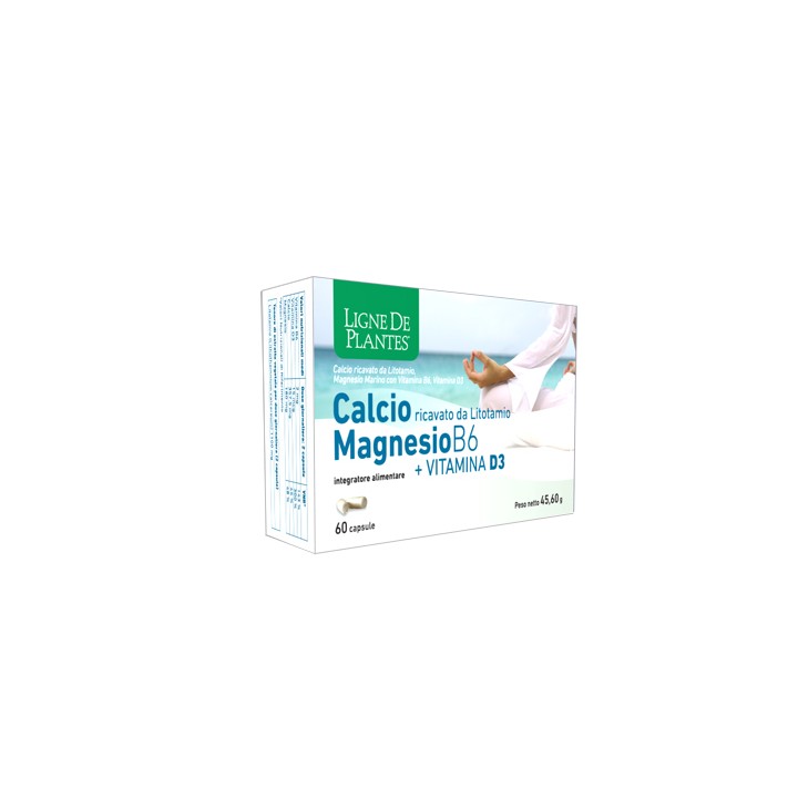 CALCIO+MAGNESIO B6+VITD3 60CPS