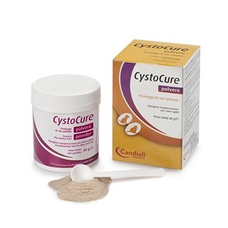 CYSTOCURE FORTE 30G
