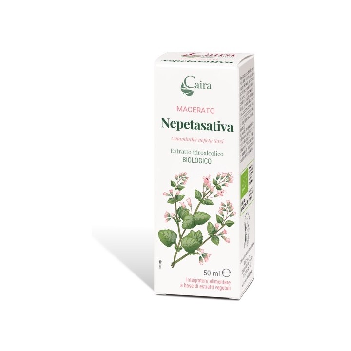NEPETASATIVA MACERATO CAIRA