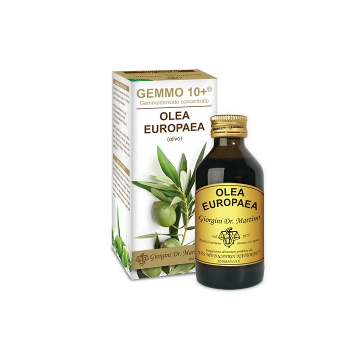 OLIVO 100ML ANALCO GEMMO 10+
