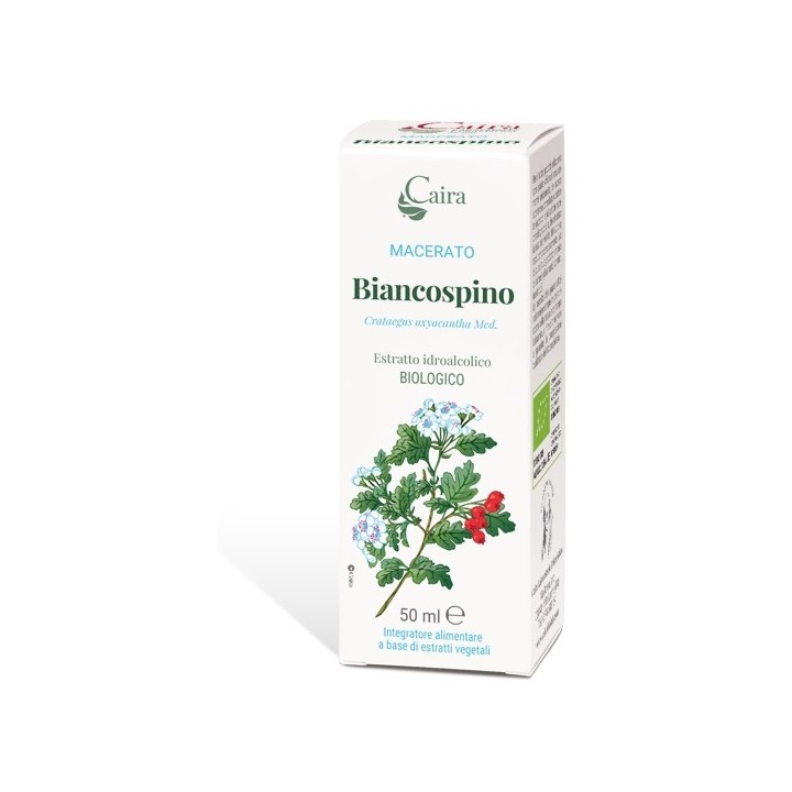 BIANCOSPINO MACERATO CAIRA GTT