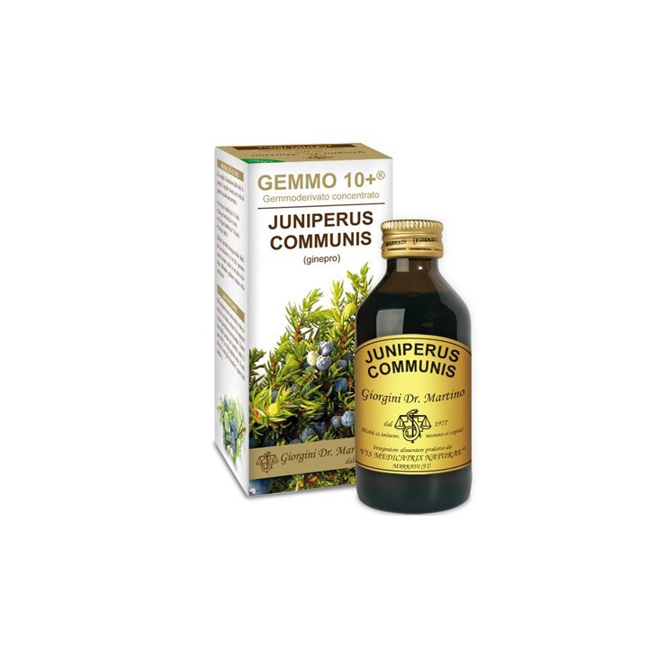GINEPRO 100ML ANALCO GEMMO 10+